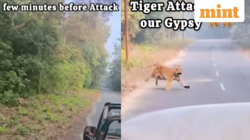 Tiger Charges at Safari Gypsy in Jim Corbett, Viral Video Sparks Safety Debate