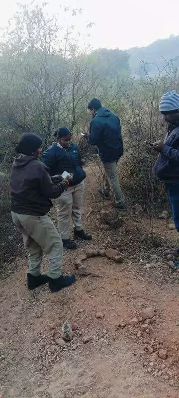 Tiger Sighting Sparks Panic in Yadadri Bhuvanagiri, Forest Officials Confirm Movement
