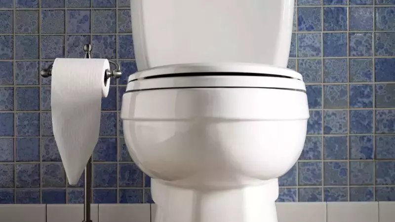 Toilet Flush Study: Closing Lid Doesn't Stop All Germs, But Still Crucial