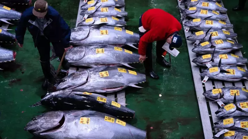 Tokyo's $3.2 Million Bluefin Tuna Sets Record at New Year Auction