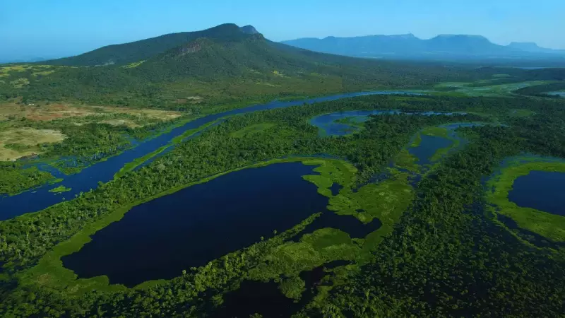 Top 10 Iconic Wetlands of the World: From India's Sundarbans to Pantanal