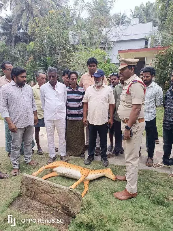 Tragedy Strikes Andhra School: 7-Year-Old Crushed by Collapsing Cement Deer Statue