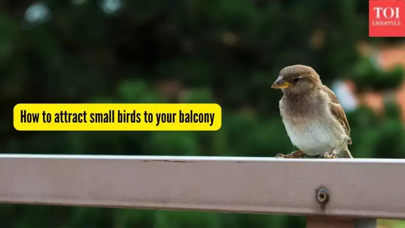 Transform Your Balcony into a Bird Sanctuary: Simple Steps to Attract Sparrows and Bulbuls