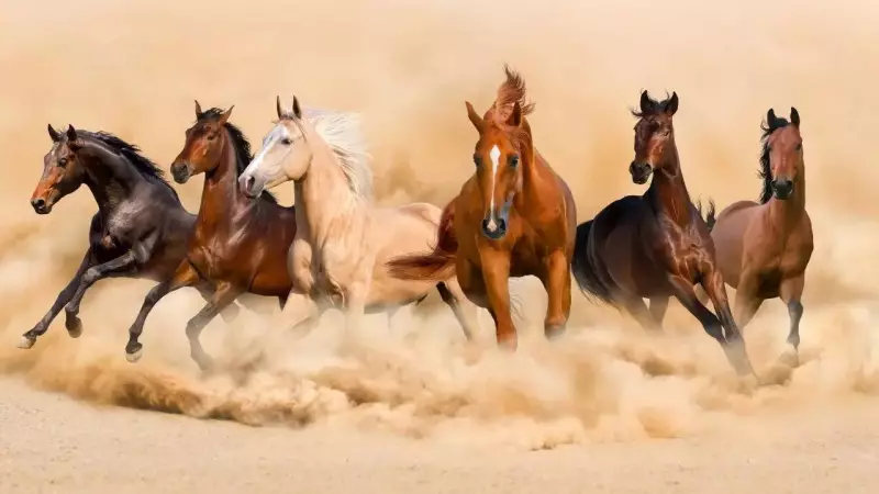 Transform Your Home's Energy: 4 Vastu Paintings for Positivity & Prosperity