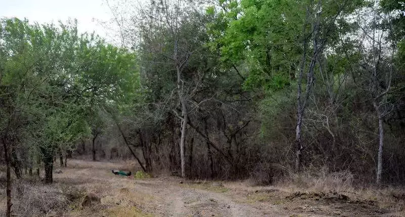 Tribal Farmers March to Nashik, Threaten Mumbai Long March Over Unmet Demands