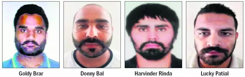 Tribune Exclusive: 18 of 61 Dreaded Punjab-Origin Gangsters Operate from US Soil