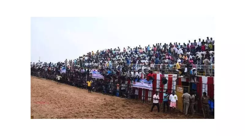 Trichy's First Jallikattu Sees 334 Tamers, 668 Bulls at New ₹3 Crore Arena