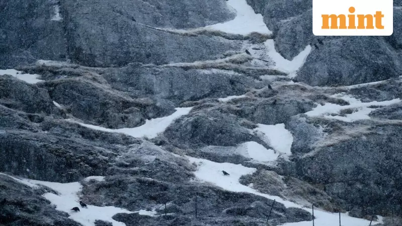 Trump Links Greenland Takeover Bid to Nobel Prize Snub, Threatens EU Tariffs