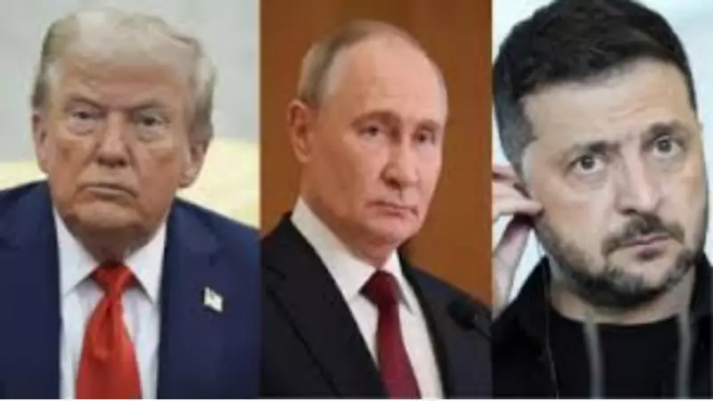 Trump Shifts Blame to Ukraine for Stalled Peace Deal, Contrasts European Allies