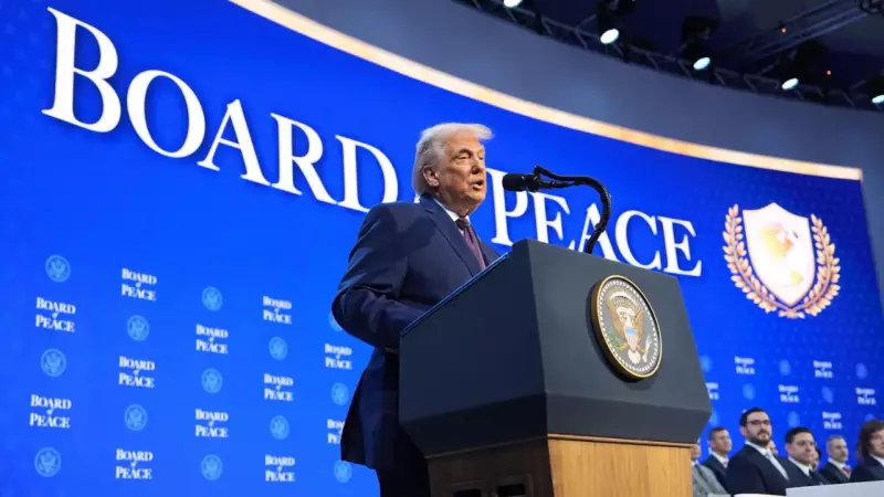 Trump's NATO Article 5 Immigration Remark Stirs European Tensions