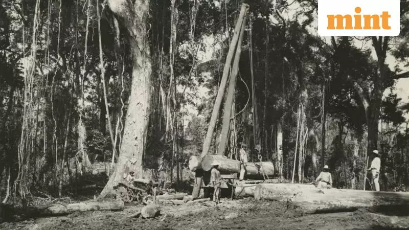 Trump's Venezuela Oil Push: Why US Companies Should Heed History's Cautionary Tales