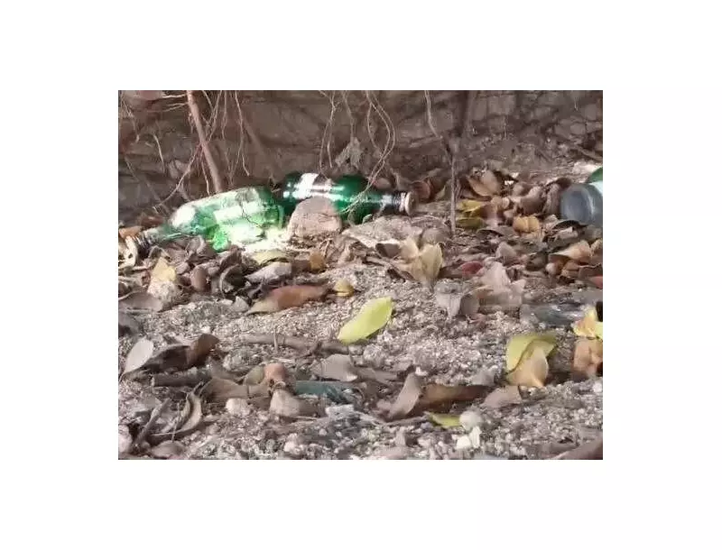 TTD Orders Probe After Empty Liquor Bottles Found Near Tirumala ORR