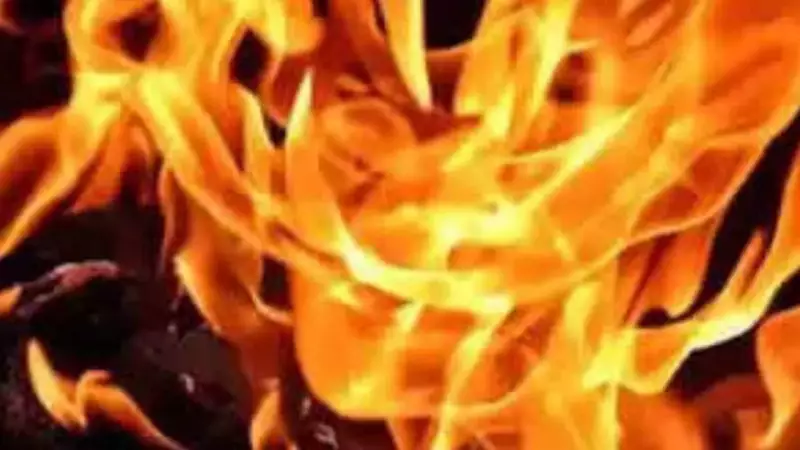 Two Killed in Early Morning Fire at Delhi Godown, 54 Firefighters Battle Blaze