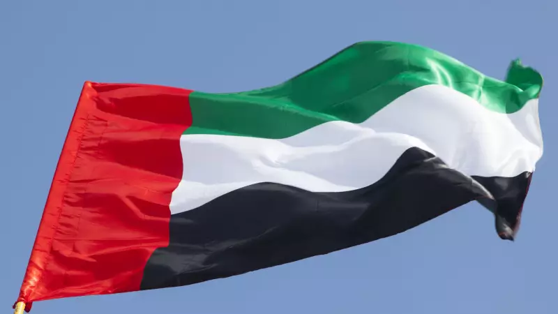 UAE Backs US Terror Designation of Muslim Brotherhood Branches in Middle East