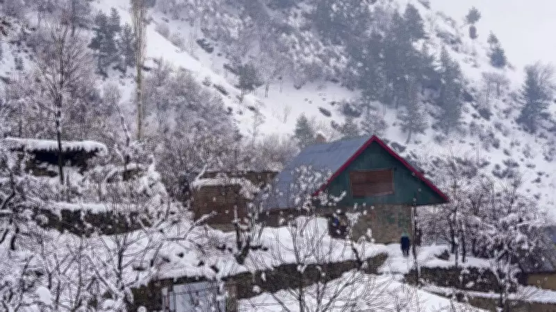 UAE Influencer's Heartfelt Ode to Snowy Kashmir Goes Viral