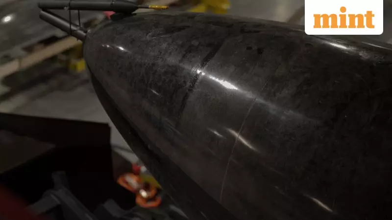 Ukraine's 'Flamingo' Missile: A 1,800-Mile Strike Dream Built on a Budget