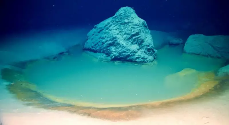 Underwater 'Lakes of Death': How Brine Pools Create Ocean Graveyards