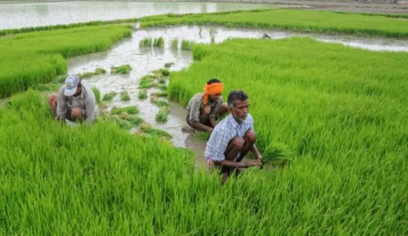 Union Budget 2026: Agri, Industry Seek Tax Relief, Biofuel & Infra Push