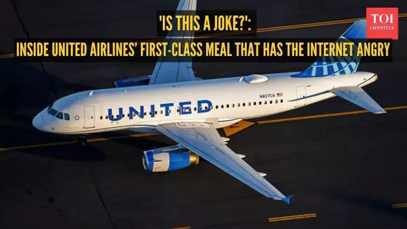United Airlines First-Class Meal Shocks Internet: 'Bowl of Sadness' Goes Viral