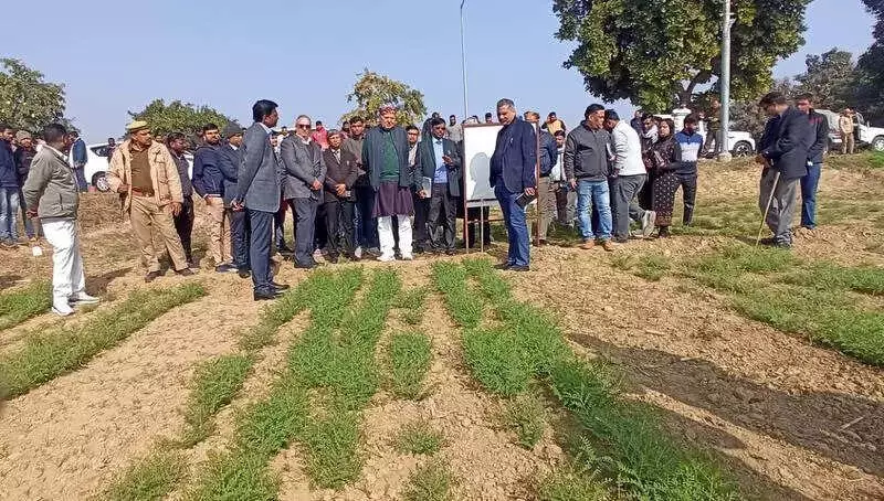 UP Agri Minister Reviews CSAUAT Projects, Stresses Timely Completion