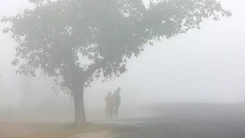 UP's Cold Spell Intensifies: Lucknow Hits 5.5°C, Orange Fog Alert for 50 Districts