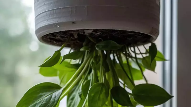 Upside-Down Gardening: A Space-Saving Revolution for Urban Homes