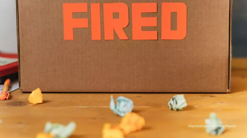 US Developer Fired Twice in One Month, CEO Intervenes in Viral Corporate Drama