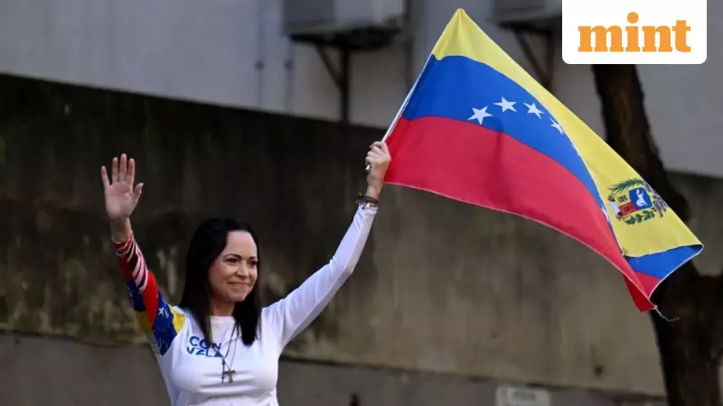 US Downplays Quick Democracy Return in Venezuela, Focuses on Stability