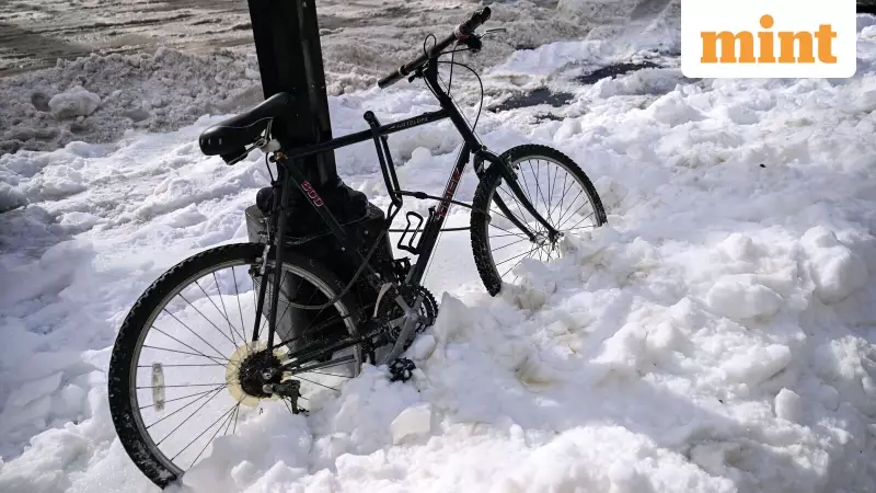 US Faces Dual Winter Crisis: Deep Freeze Persists, New Monster Storm Looms