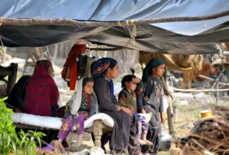 Uttarakhand HC Bars Eviction of Van Gujjars, Allows Farming Until Forest Rights Claims Settled