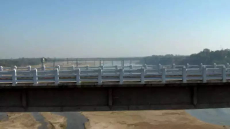 Vadodara's Vishwamitri: India's Urban Crocodile River Thrives with 442 Reptiles