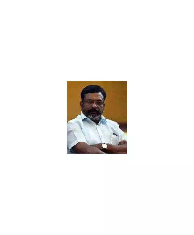 VCK Completes Major Restructuring, Expands to 234 District Units in Tamil Nadu