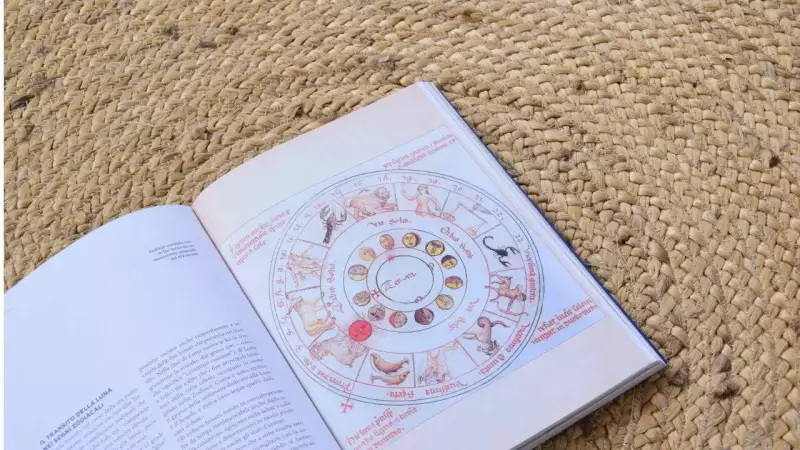 Vedic Astrology Predicts 2026 as Year of Financial Transformation for These Moon Signs