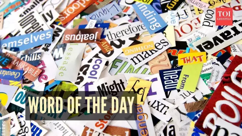 Vicissitude: Unpacking the Rare Word That Defines Life's Uncertainties