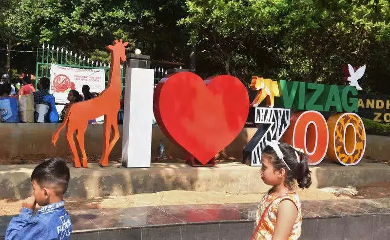 Vizag's 24-Year-Old Asiatic Lioness Bigo Passes Away, Highlights Zoo's Care