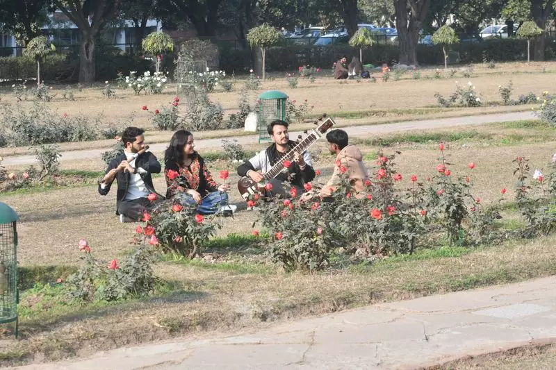 Western Disturbance to End Tricity's Sunny Spell, Rain Expected from Jan 21