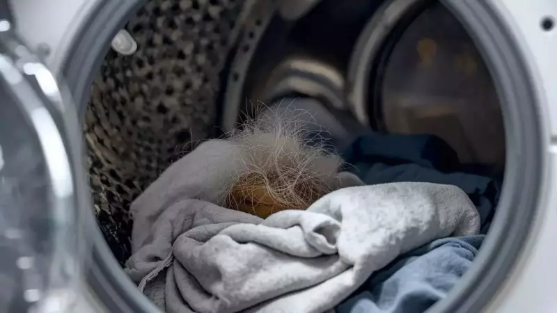 Wet Wipe Laundry Hack: Simple Trick to Remove Stubborn Pet Hair from Clothes