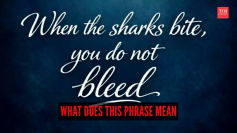 When Sharks Bite, You Don't Bleed: The Philosophy of Resilience