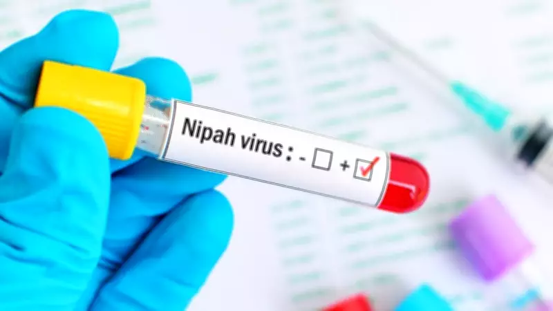 WHO Assesses Low Risk of Nipah Virus Spreading Beyond India's Borders