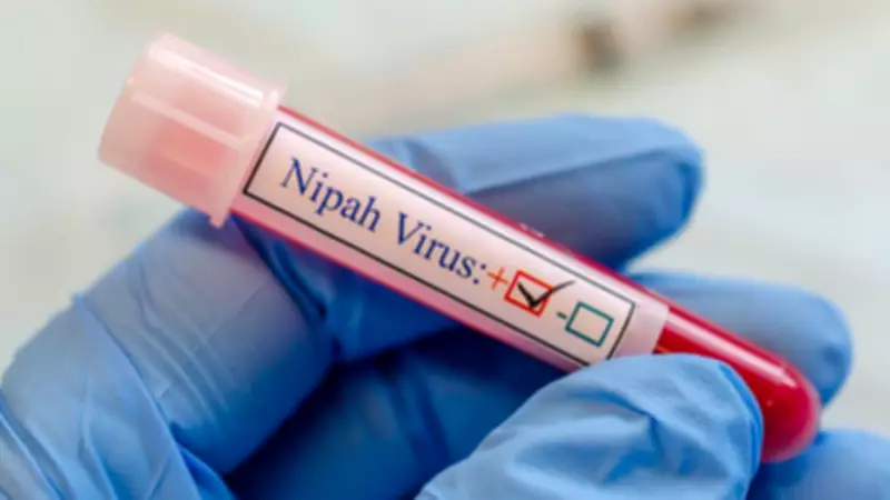 WHO Says Nipah Virus Spread Risk from India Low, No Travel Restrictions Recommended