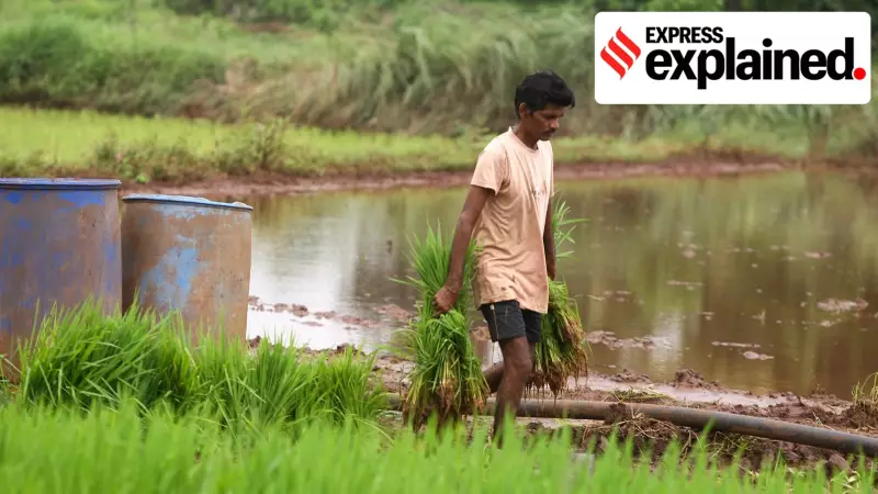 Why EU Trade Deal Offers Better Prospects for Indian Farmers Compared to US Agreement