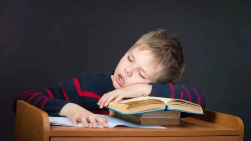 Why Students Fall Asleep While Studying: Science Behind Study Fatigue