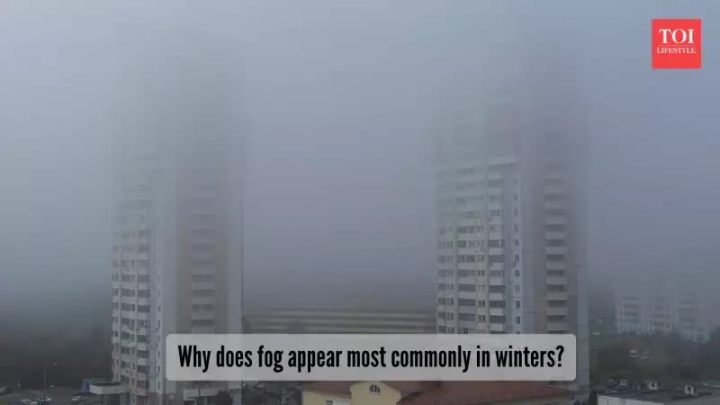 Winter Fog in India: The Science Behind the Mysterious Haze