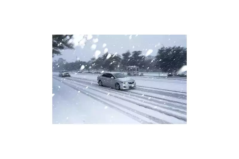 Winter Storm Paralyzes US: Schools Shut, Millions Affected Across States