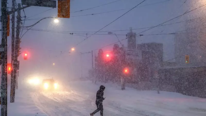 Winter Storm Ravages US: 25+ Deaths, Power Outages, Travel Chaos