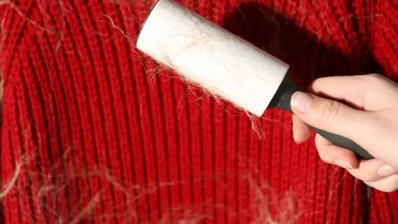 Winter Woollen Woes: Simple Hacks to Remove Lint and Keep Your Sweaters Fresh