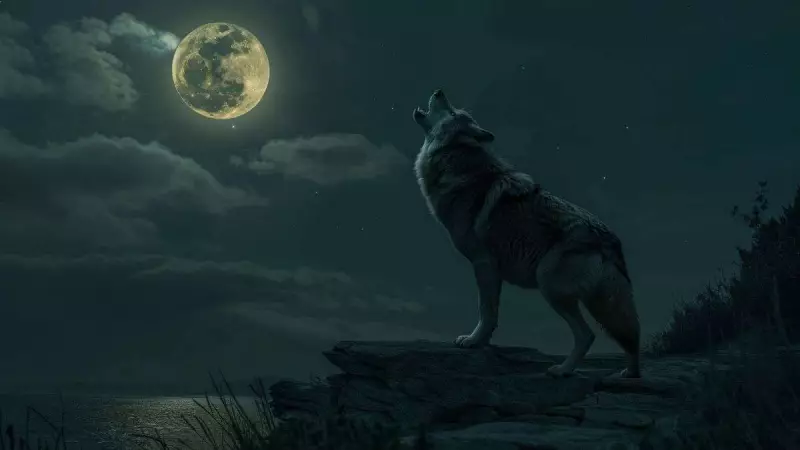 Wolf Moon 2026: Why the First Full Moon of the Year Has Its Unique Name