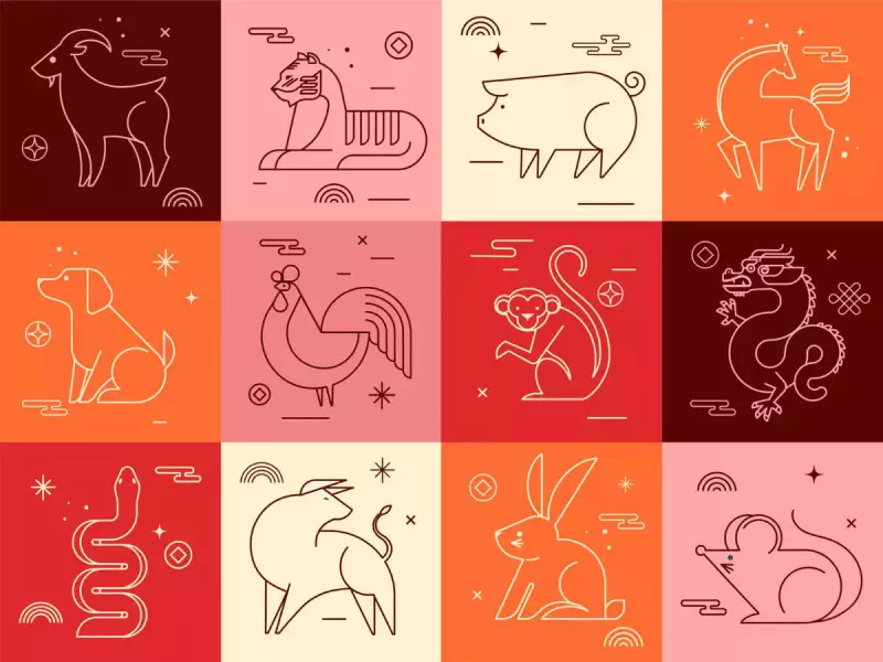 Your Daily Chinese Horoscope: What Each Zodiac Sign Can Expect Today