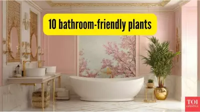 10 Best House Plants That Reduce Bathroom Humidity & Purify Air Naturally