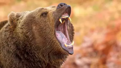 11 Animals That Eat Their Young: Survival Instinct, Not Cruelty